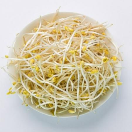 콩나물,1kg,냉장,수입