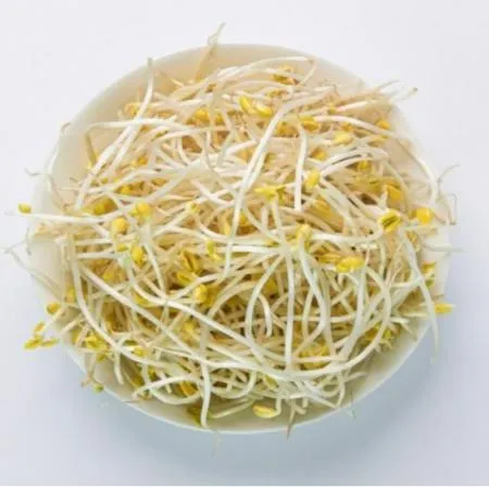 콩나물,1kg,냉장,수입