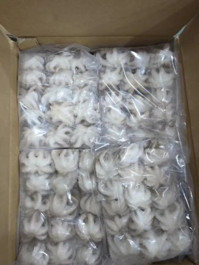 주꾸미,15미/200g*12pk/Box(20-30),상품,냉동,베트남 이미지