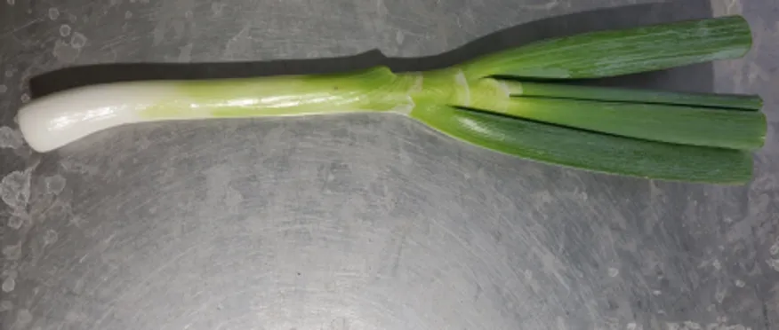 대파(뿌리제거),1Kg(흰대윗10cm절단),상품,실온,탈피,국산 이미지