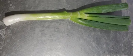 대파(뿌리제거),1Kg(흰대윗10cm절단),상품,실온,탈피,국산 이미지