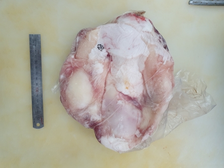 육우,1Kg,도가니,냉동,탕용,통덩어리,국산육우,밀봉/진공포장 아님