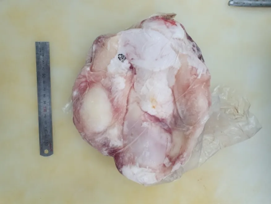 육우,1Kg,도가니,냉동,탕용,통덩어리,국산육우,밀봉/진공포장 아님 이미지