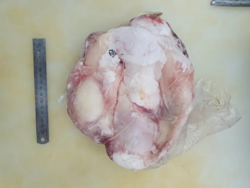 육우,1Kg,도가니,냉동,탕용,통덩어리,국산육우,밀봉/진공포장 아님 이미지