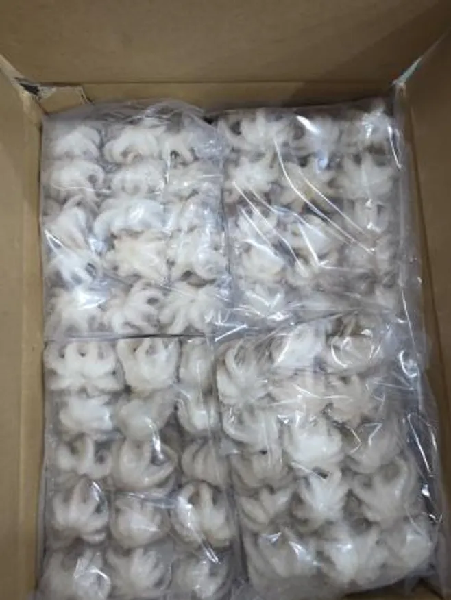 주꾸미,15미/200g*12pk/Box(20-30),상품,냉동,베트남 이미지