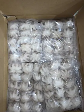 주꾸미,15미/200g*12pk/Box(20-30),상품,냉동,베트남