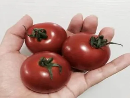 완숙토마토,1kg(100g내외/ea),소,국산