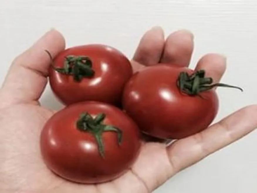 완숙토마토,1kg(100g내외/ea),소,국산 이미지