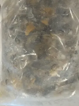 전복내장(냉동,상품,국산)