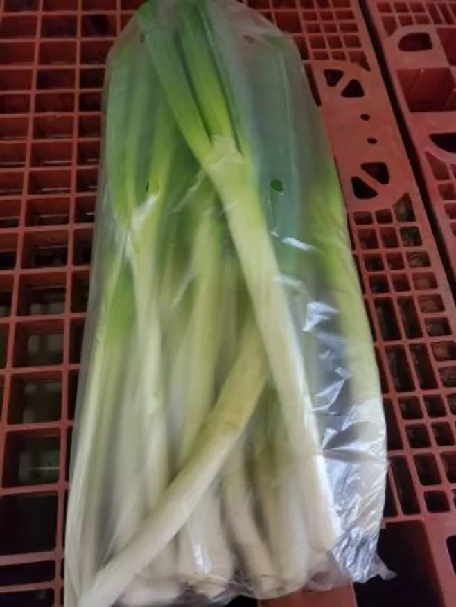 대파(뿌리제거),1Kg(흰대윗10cm절단),상품,실온,탈피,국산 이미지