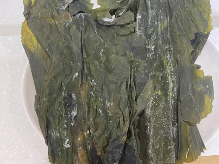 건다시마(육수용)(상온,중품,국산)