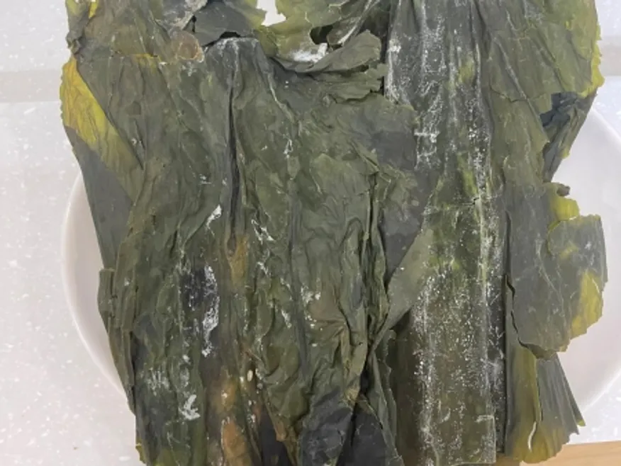 건다시마(육수용)(상온,중품,국산) 이미지