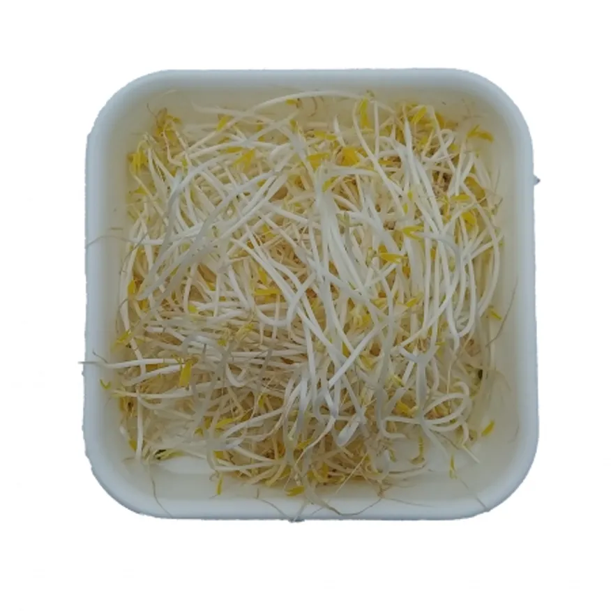 숙주,1kg,냉장,수입 이미지