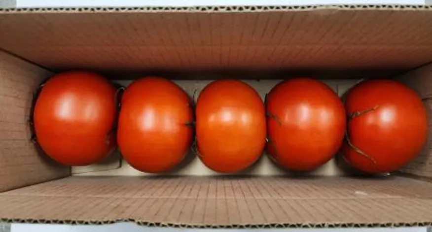 완숙토마토,kg(240g내외/개),대,국산 이미지