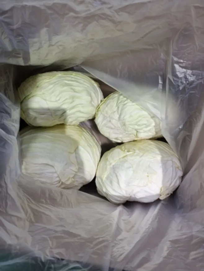 양배추,11.2Kg(2.8Kg*4입/Box),상품,탈피,국산 이미지