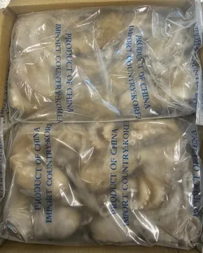 낙지,850g/pk,냉동,상품,중국