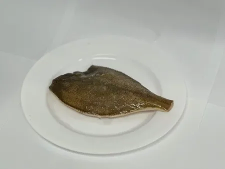 H손질가자미(냉동,상품,러시아)