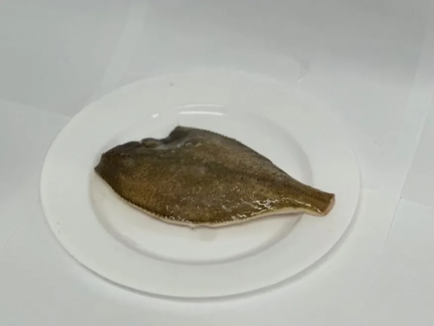 H손질가자미(냉동,상품,러시아) 이미지