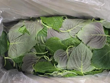 바라깻잎,1Kg,상품,국산 이미지