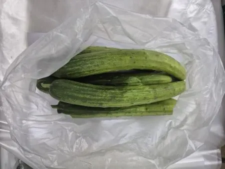 다다기오이,1Kg,상품,국산 이미지