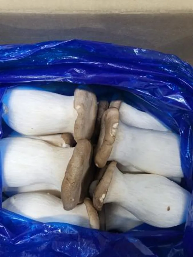 새송이버섯,1Kg,상품,국산 이미지