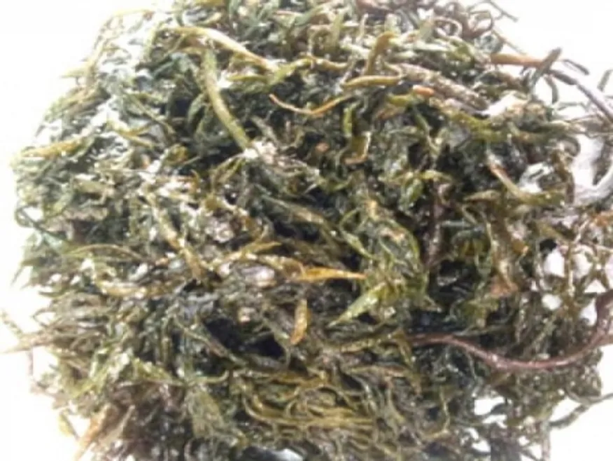 염장톳(실온,상품,국산) 이미지