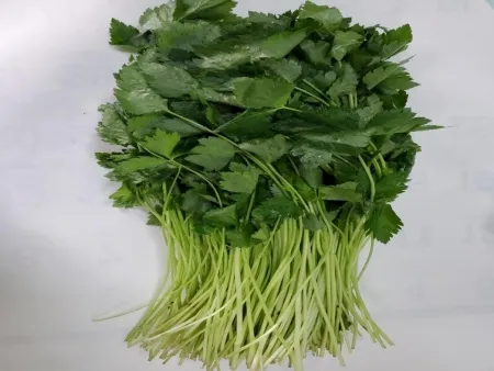 참나물,1Kg,상품,실온,생,국산 이미지
