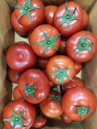 토마토,5Kg(50~250g*20~100개/규격무선별),실온,국산