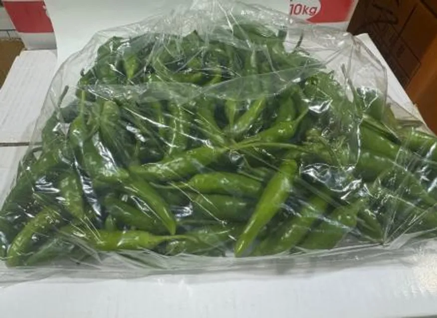 청양고추,1Kg,상품,실온,국산 이미지