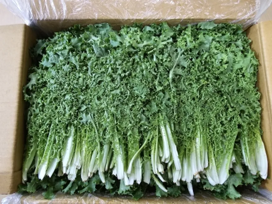 그린치커리,2Kg,상품,국산 이미지