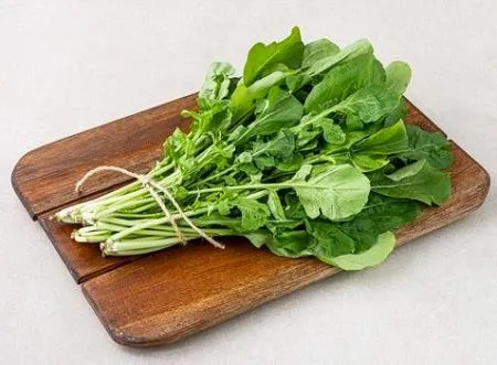 루꼴라,1Kg,상품,국산