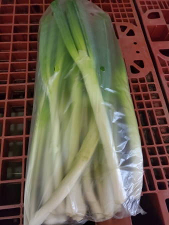 대파(뿌리제거),1Kg(흰대윗10cm절단),상품,실온,탈피,국산