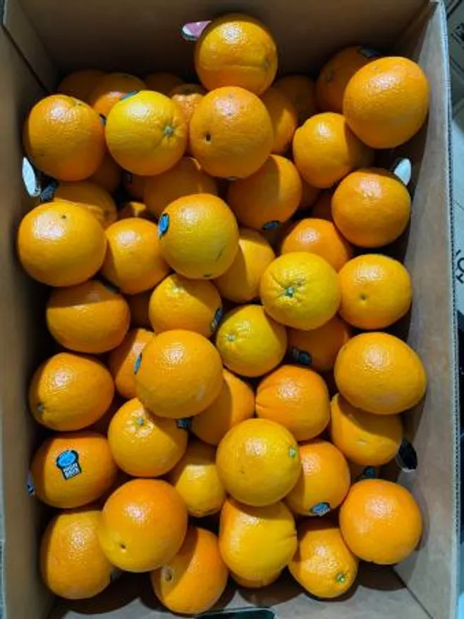 오렌지,200g(180~210g),상품,수입 이미지