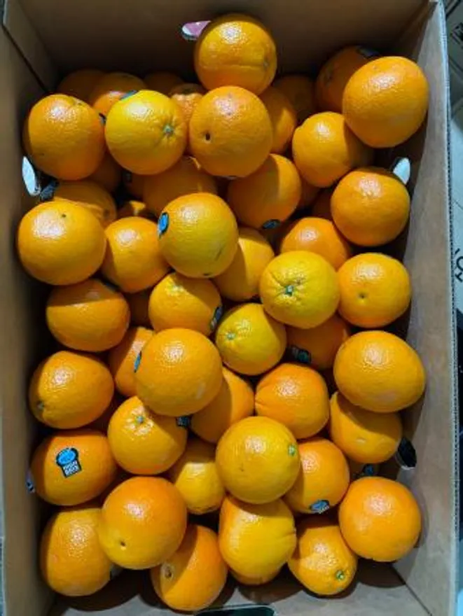 오렌지,200g(180~210g),상품,수입 이미지