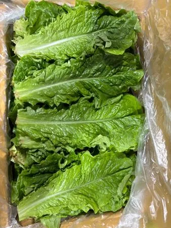 로메인,1Kg,상품,실온,국산 이미지