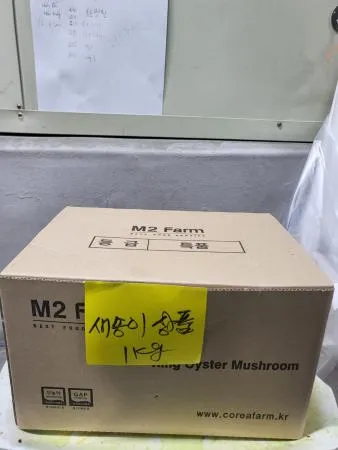 새송이버섯,1Kg,상품,국산 이미지