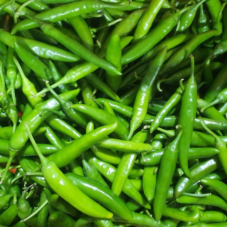 청양고추,1Kg,상품,실온,국산