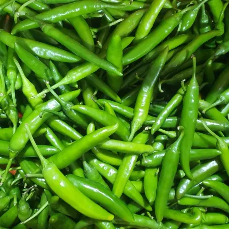 청양고추,1Kg,상품,실온,국산