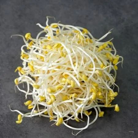 곱슬이콩나물,1kg,냉장,수입