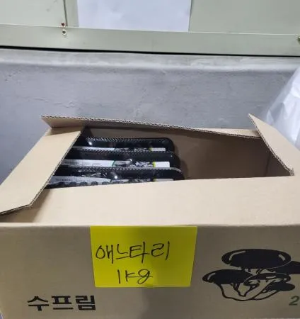 애느타리버섯,1Kg,상품,국산 이미지