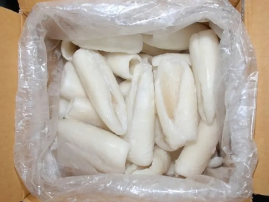 갑오징어몸살(냉동,상품,수입) 이미지