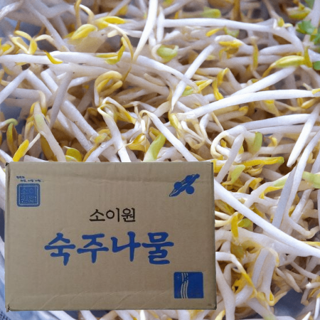 숙주,3.5kg,상품,냉장,수입
