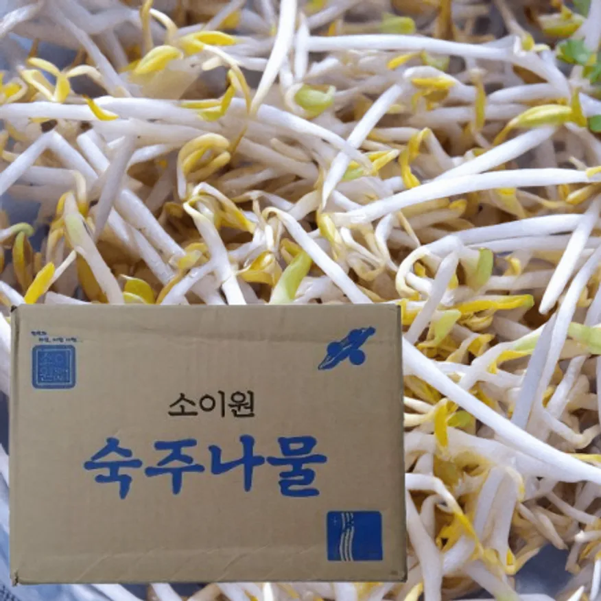 숙주,3.5kg,상품,냉장,수입 이미지
