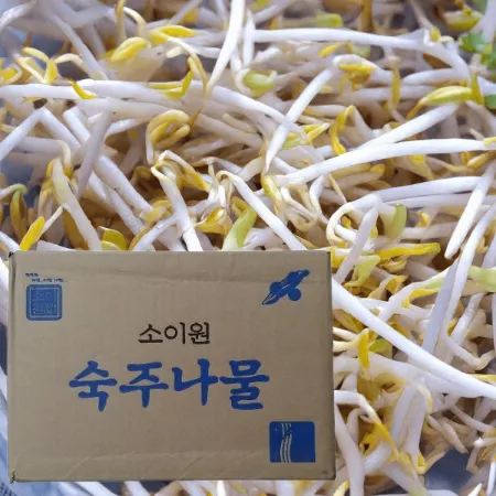 숙주,3.5kg,상품,냉장,수입