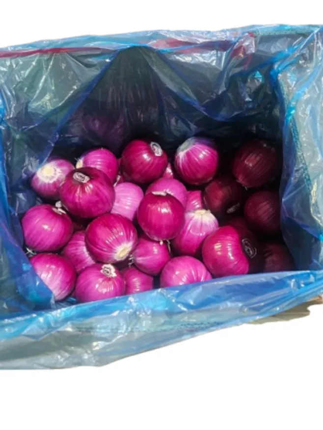 깐적양파,20kg,중국,상등품 이미지