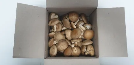 표고버섯,1Kg,상품,국산