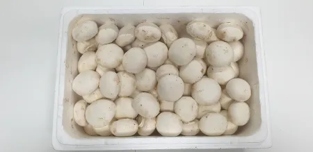양송이버섯,1Kg,소,국산