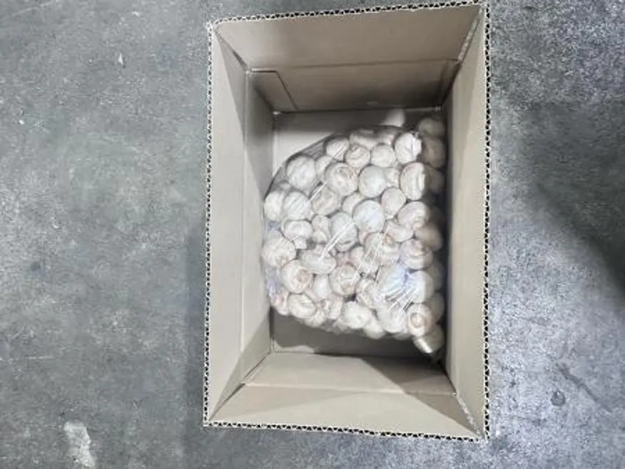 양송이버섯(상품,냉장,중국) 이미지