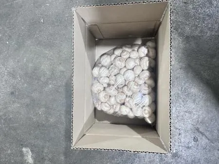 양송이버섯(상품,냉장,중국)