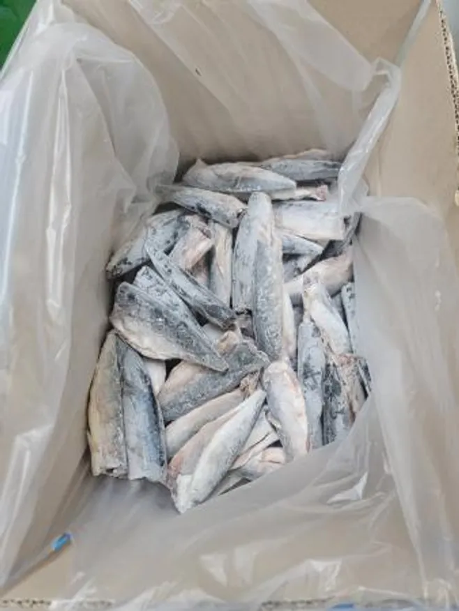 ⭐한정특가⭐고등어,할복(100~150g/미),냉동,1kg,구이용,내장제거,중국산 이미지